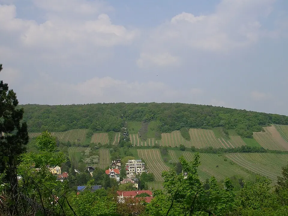 Image: Michael Kranewitter, Vienna · CC BY 2.5 Neuberg