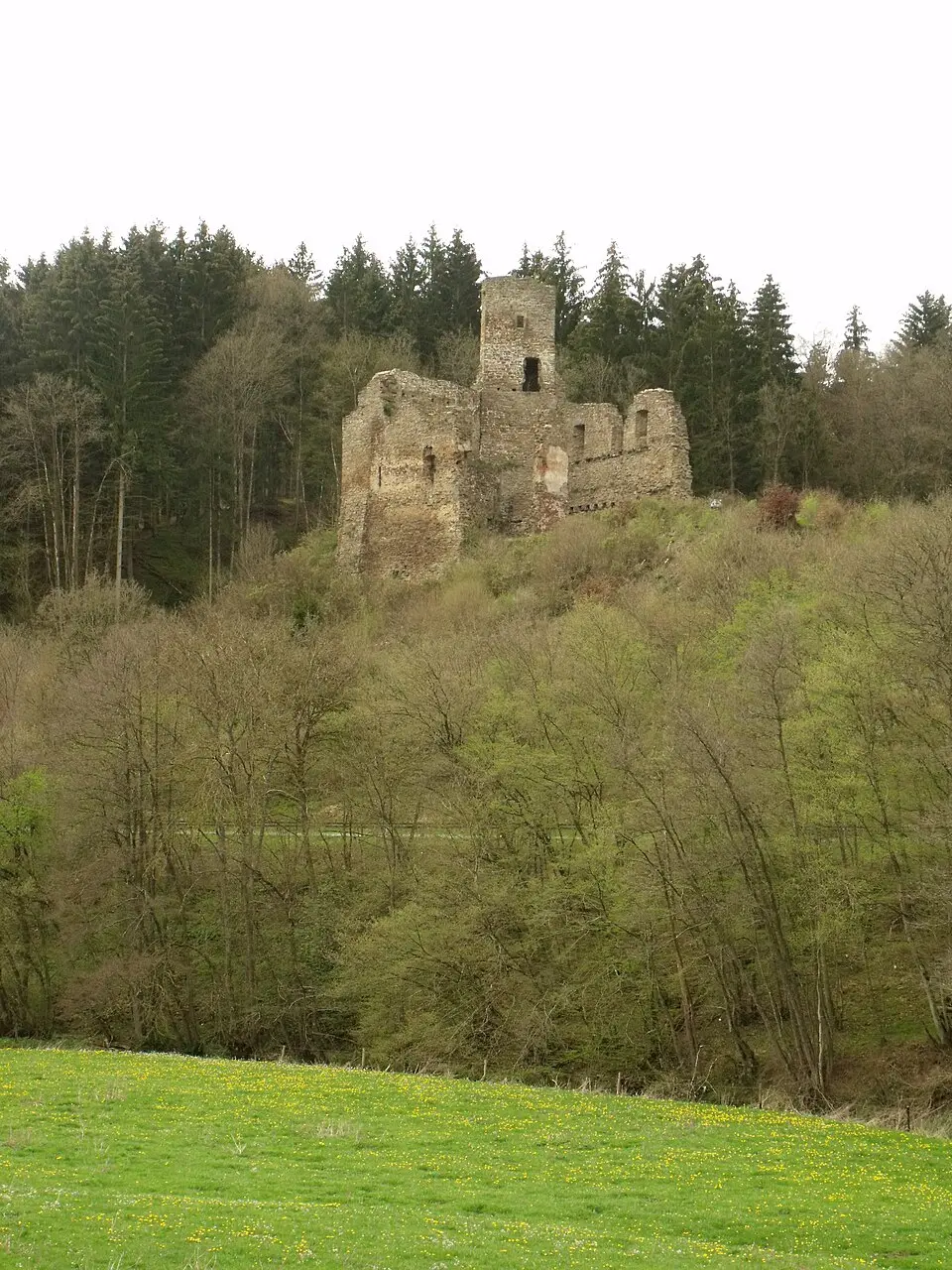 Burg Neublankenheim
