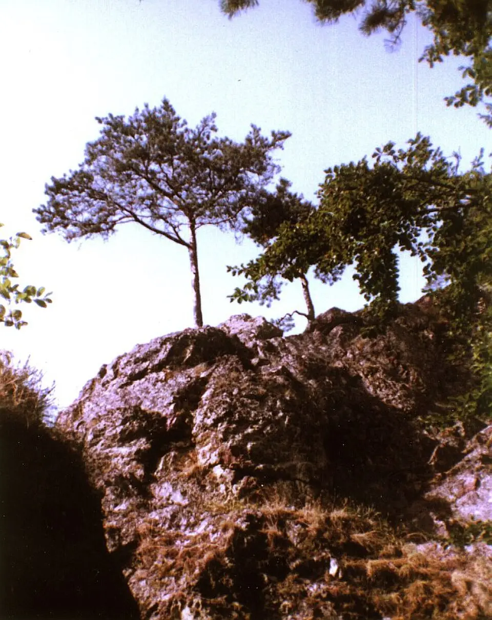Burg Neu-Blumberg