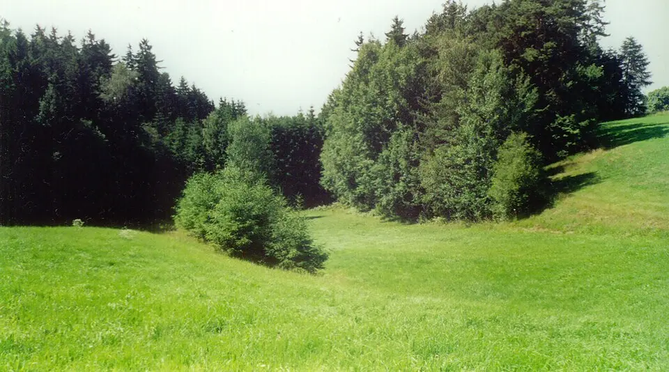 Obrázek: PeterBraun74 · CC BY-SA 3.0 Burgstall Neudürrlas