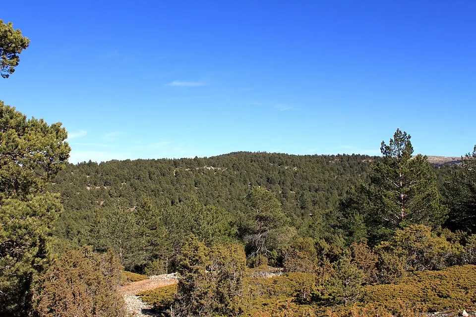 Cerro Calderón