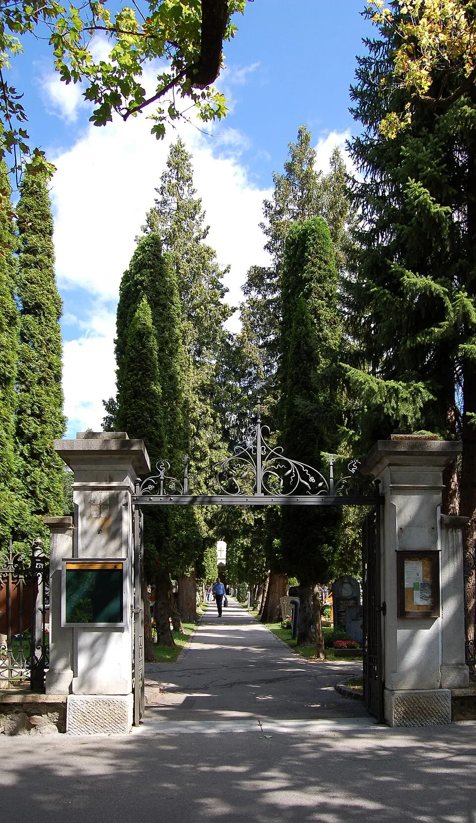 Image: Michael Kranewitter · CC BY-SA 3.0 Neuer Friedhof, Lienz