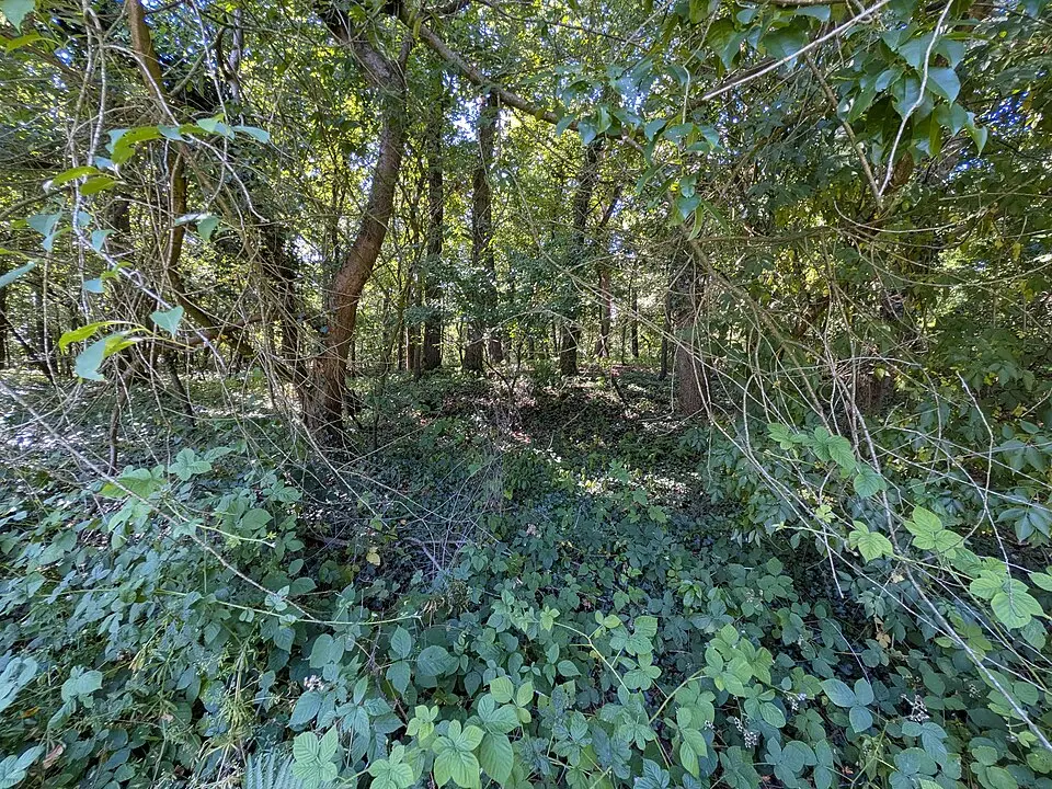 Altsächsisches Gräberfeld Liebenau