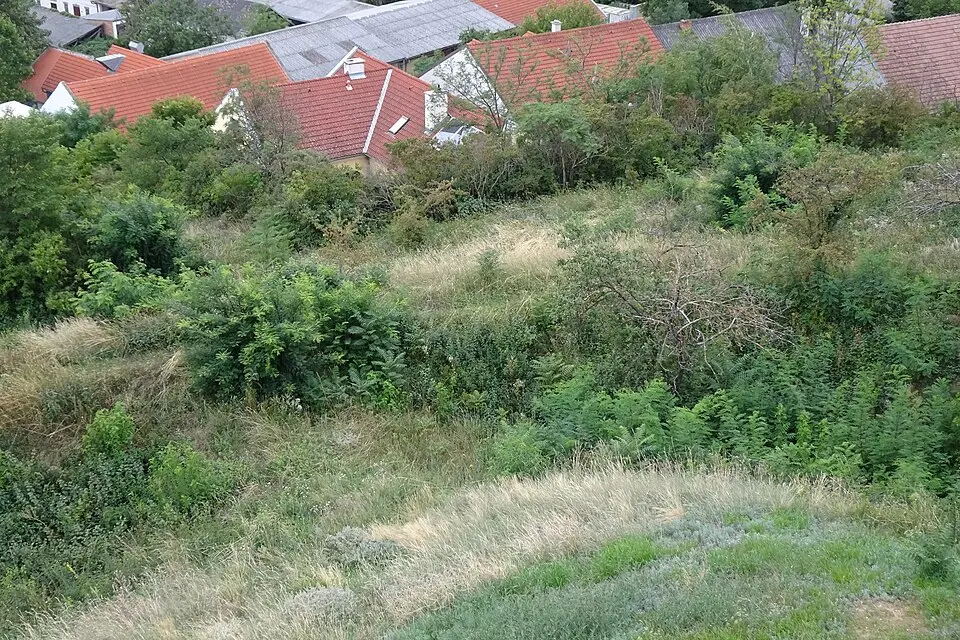 Teilbereich der Kuruzzenschanze beim Tabor in Neusiedl am See