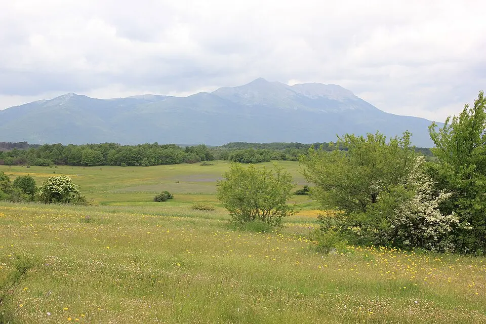 Image: Julian Nyča · CC BY-SA 3.0 Nevesinjsko polje