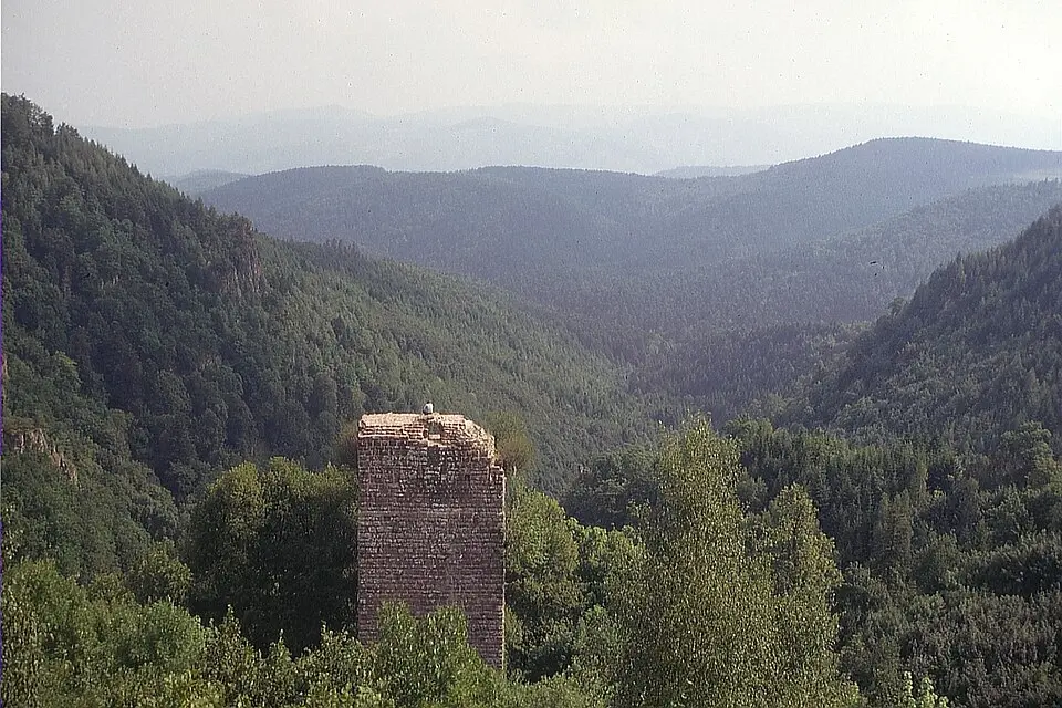 Slika: AnRo0002 · CC0 Oberhaslach