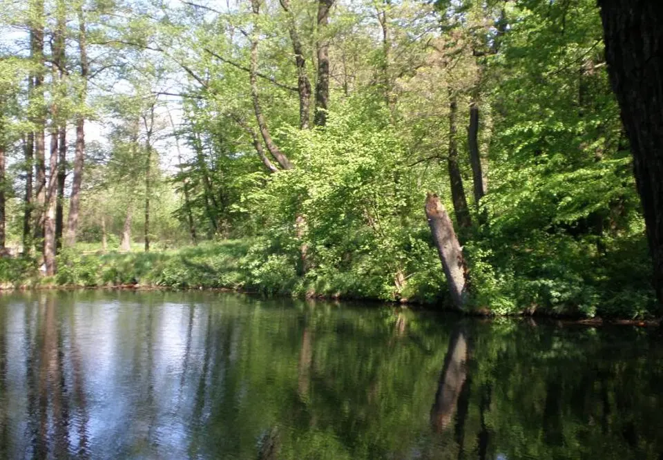 Park pałacowy, XVIII/XIX