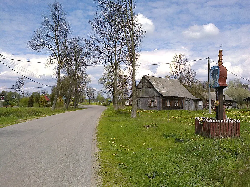 Niedźwiedź
