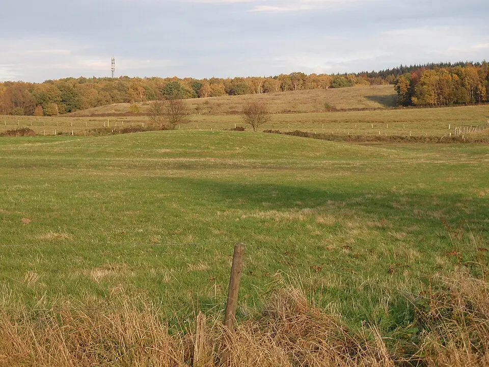 Niederungsmotte Niederpleis