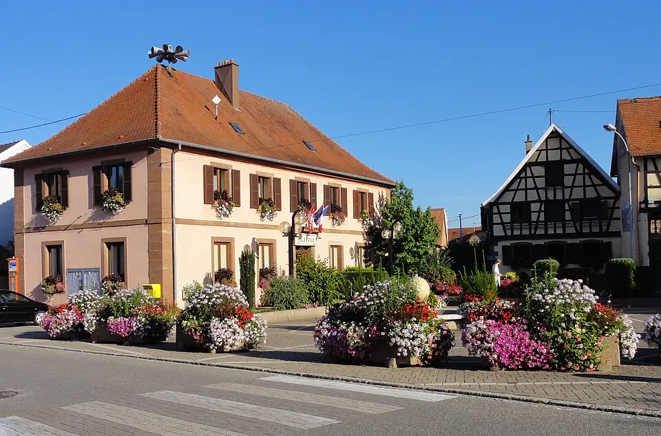 Slika: © Ralph Hammann - Wikimedia Commons · CC BY-SA 4.0 Niederschaeffolsheim