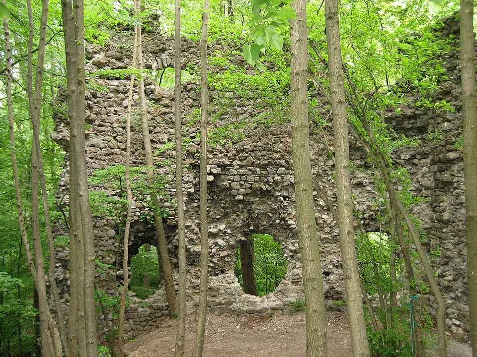 Mittelalterliche Burgruine Niederwindegg