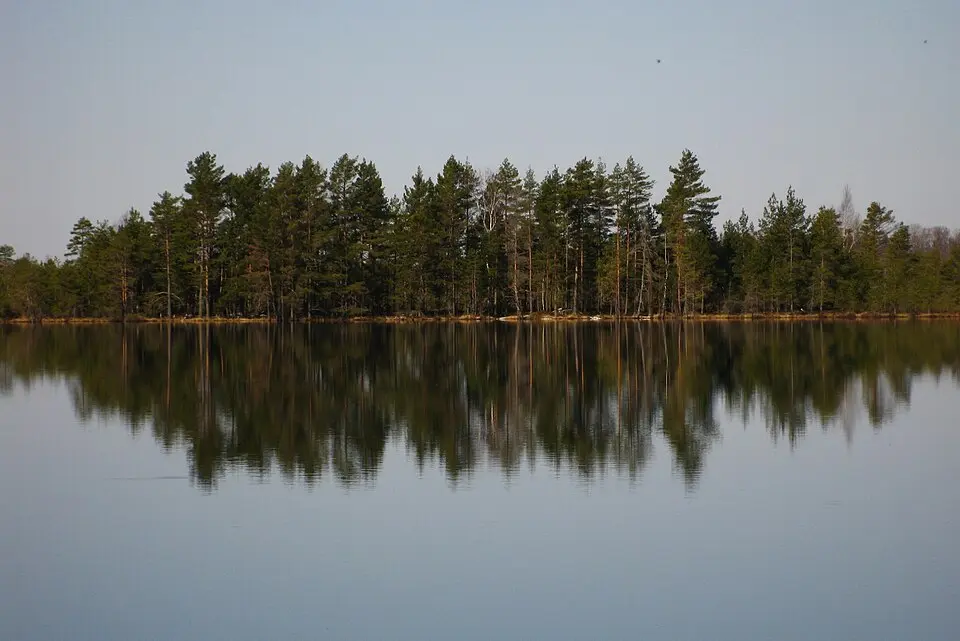 Nigula järv