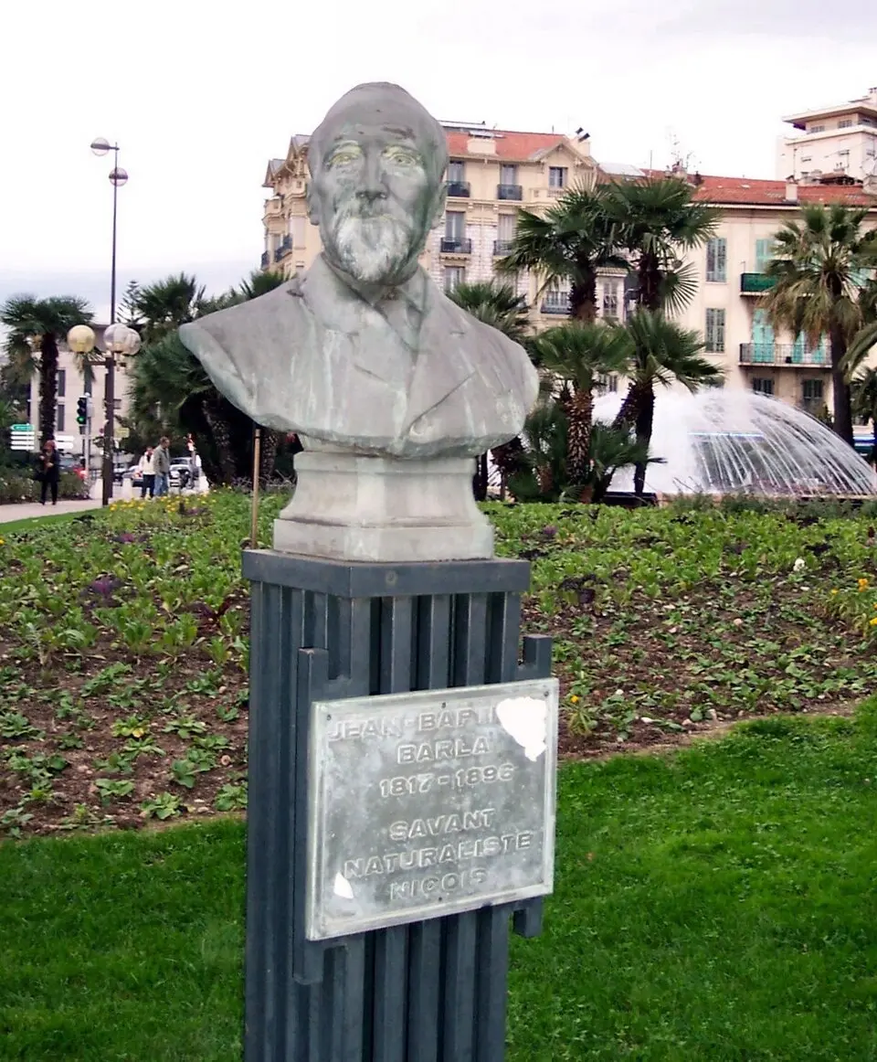 muséum d'histoire naturelle de Nice