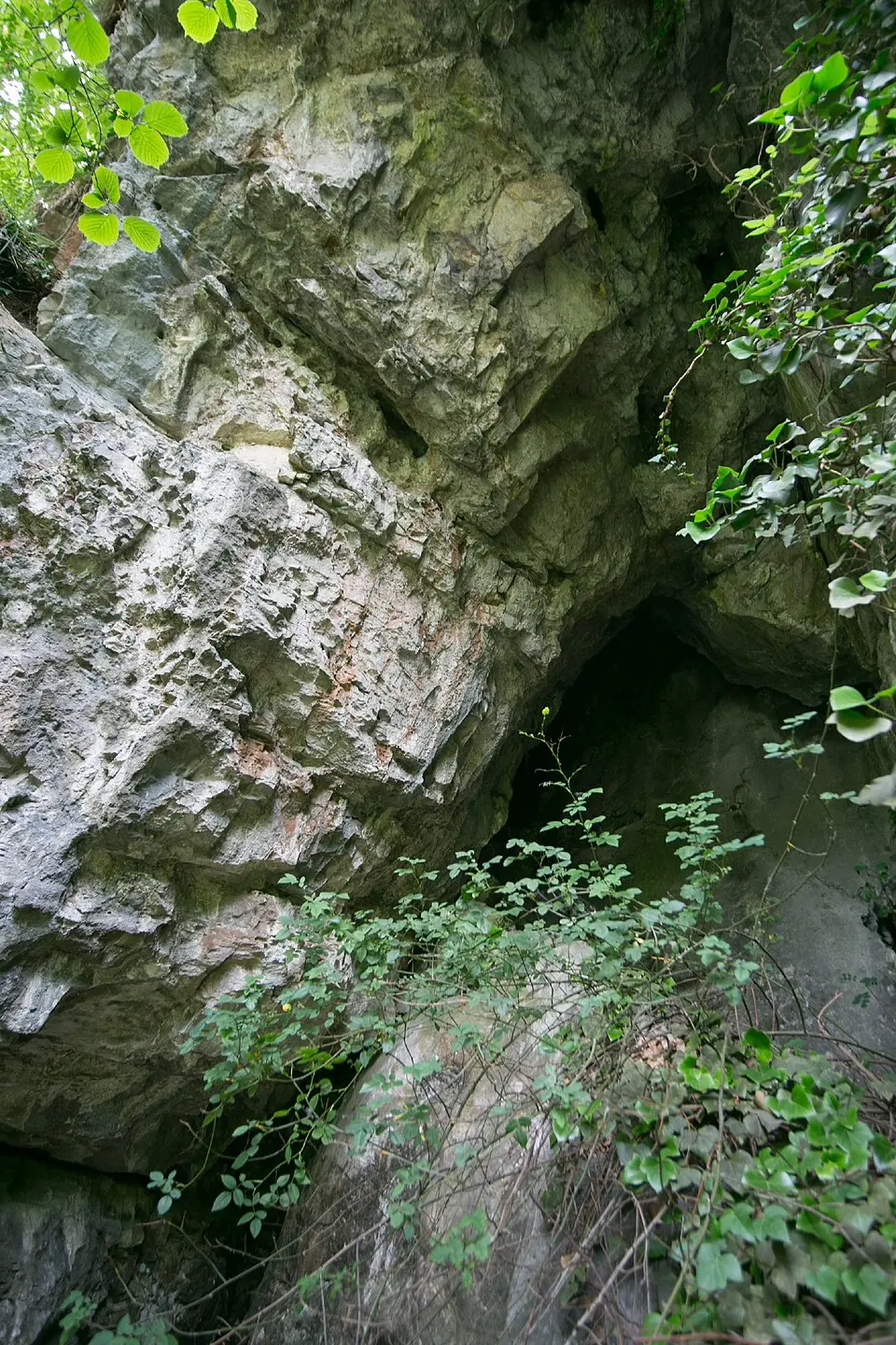 Nischenhöhle