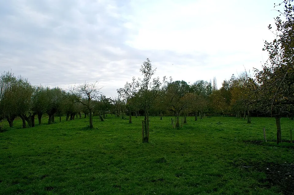 Terrein waarin overblijfselen van het kasteel van de "Heeren van Nisse"