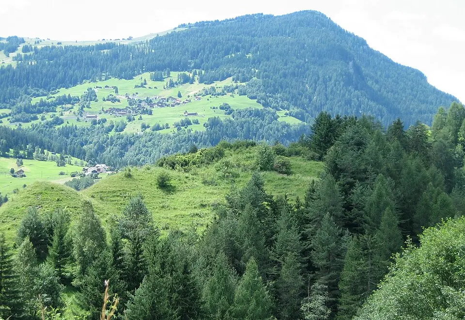 Image: Adrian Michael · CC BY-SA 3.0 Burg Nivagl