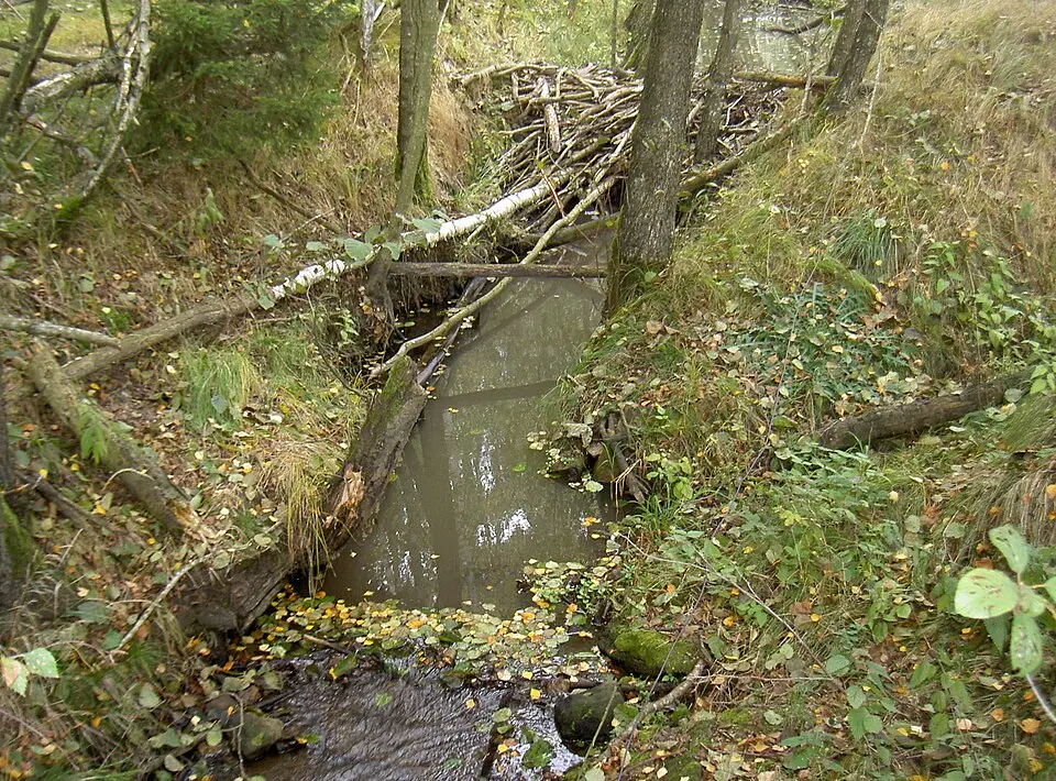Natschbach