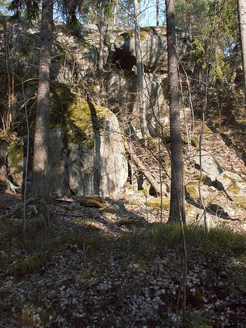 Älvsjöskogen