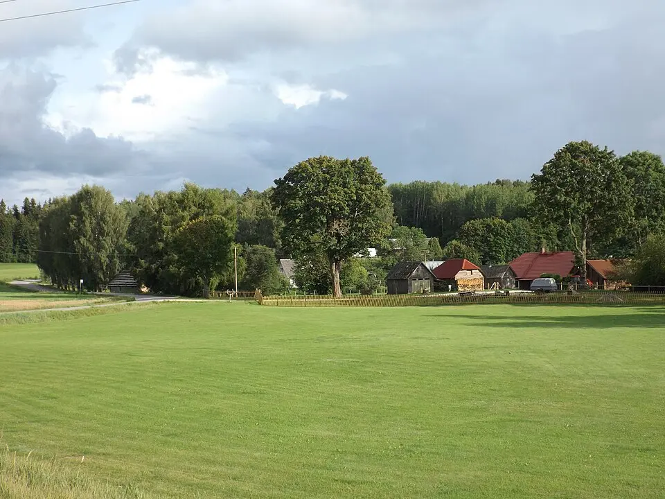 Nogu