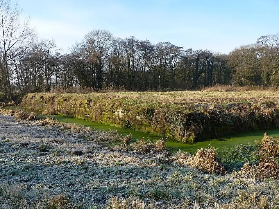 Norbury Manor moated site, 8 fishponds and connecting channels