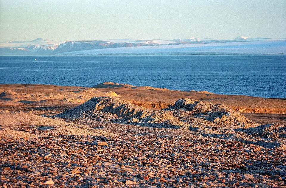 Nordaust-Svalbard naturreservat