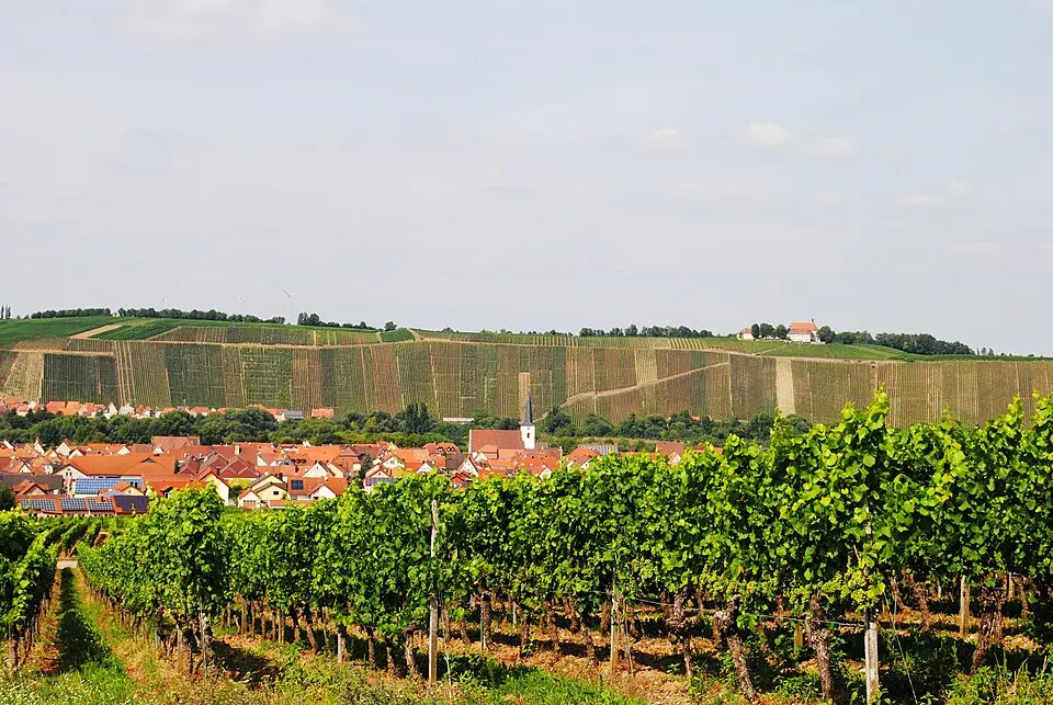 Burgstall Vogelsburg