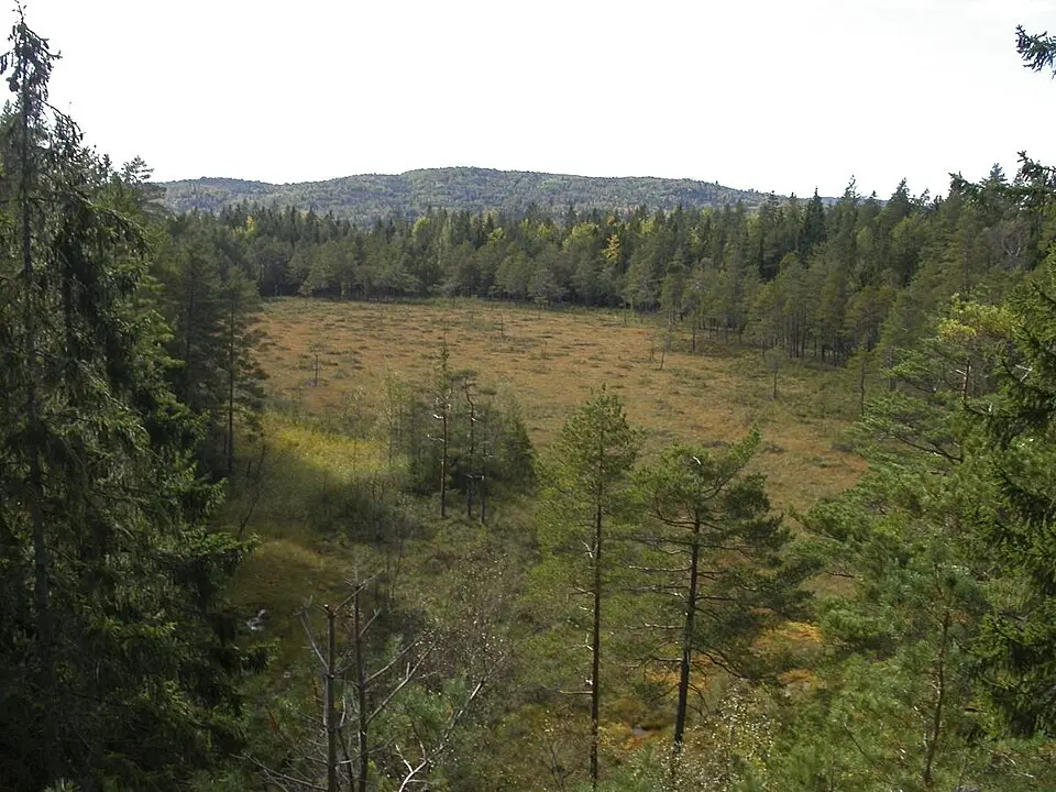 Nordre Skarsholttjønn naturreservat