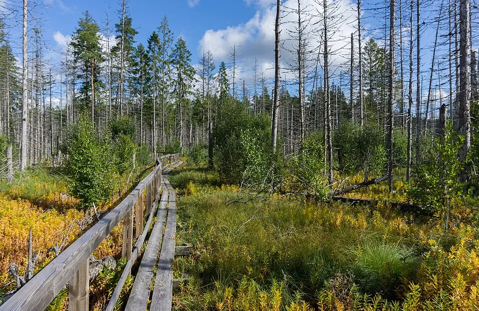 Norra Lunsens naturreservat