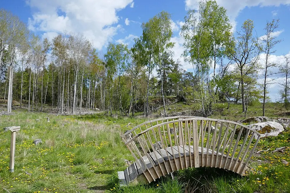 Norra Törnskogens naturreservat