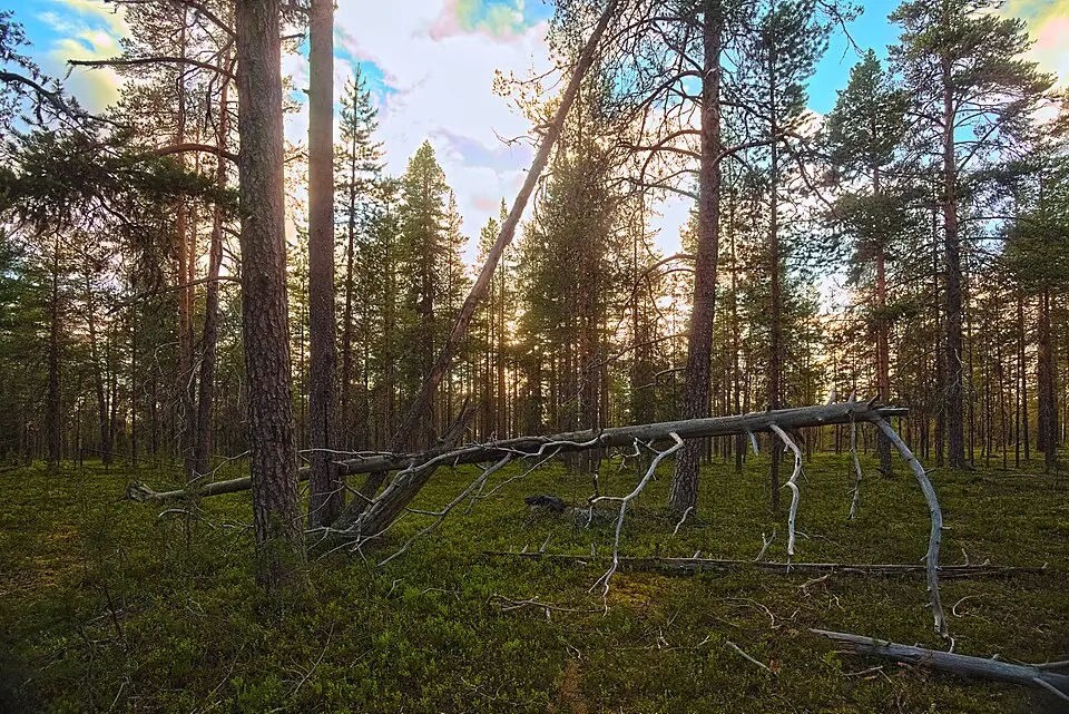 Norravasund