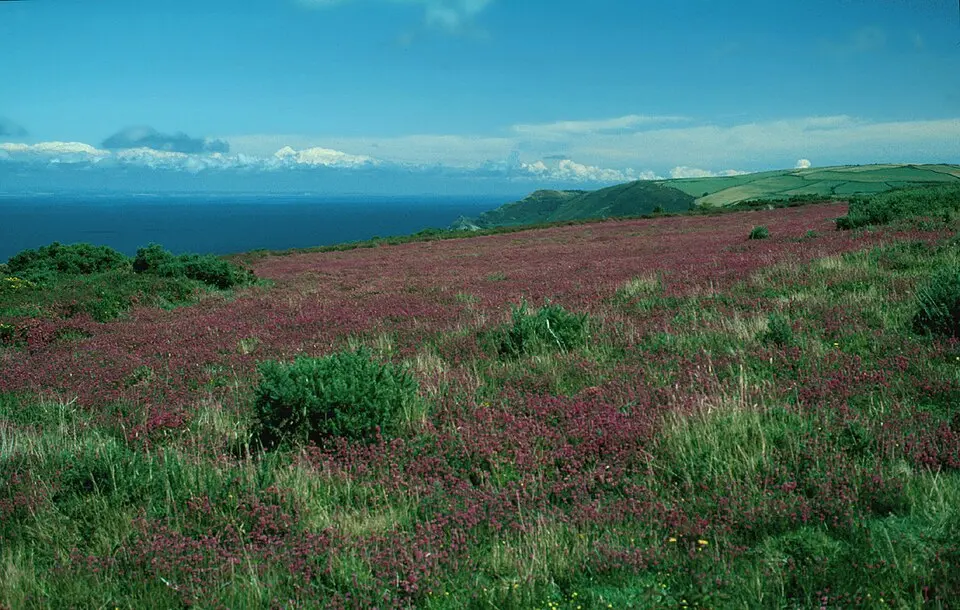 Exmoor-Nationalpark