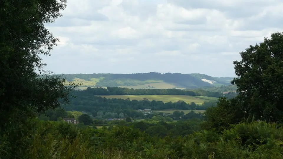 North Downs