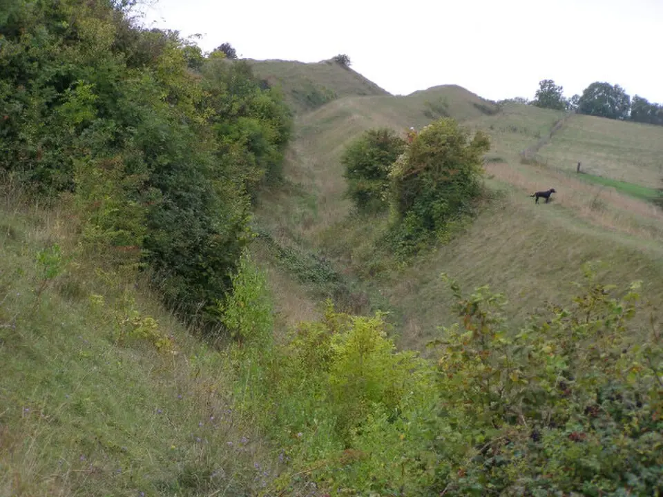 Hod Hill camp and Lydsbury Rings