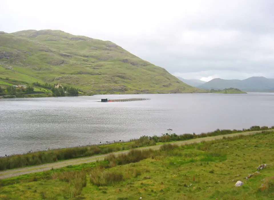 Lough Fee