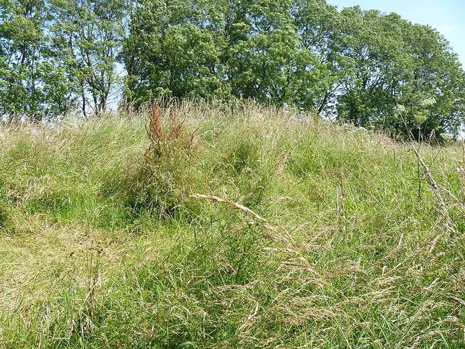 Long Barrow von Notgrove