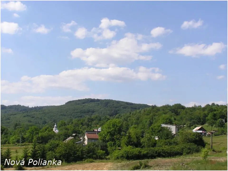 Mérgesvágása