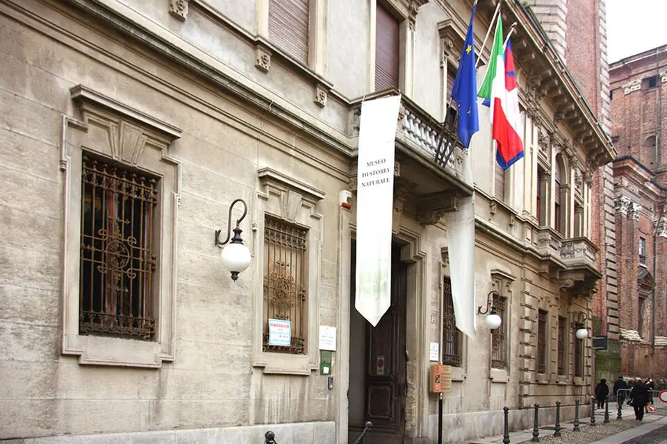 musee d'histoire naturelle "Faraggiana Ferrandi"