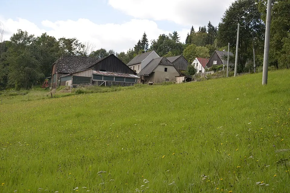 Nová Víska