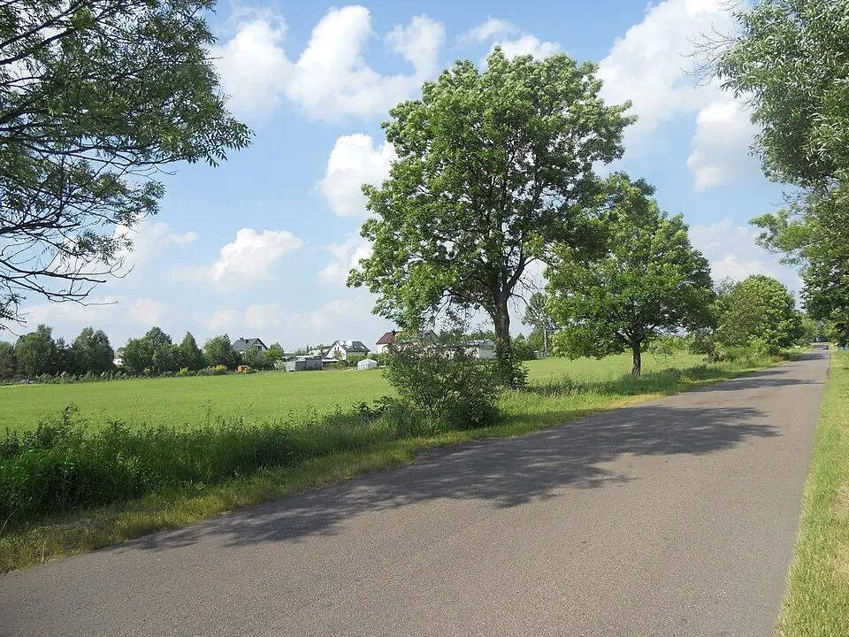 Nowodwór