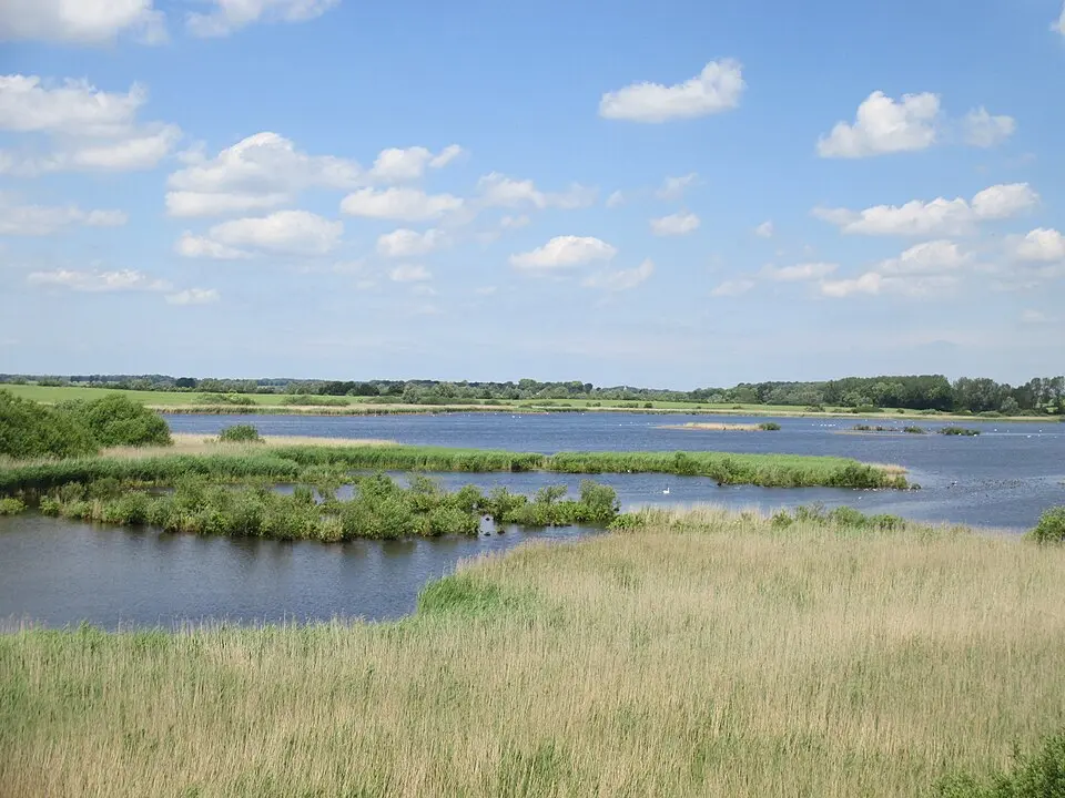 Großer Dambecker See