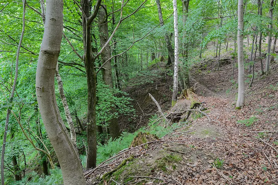 Image: Isiwal · CC BY-SA 3.0 AT Hangwald Puckinger Leiten