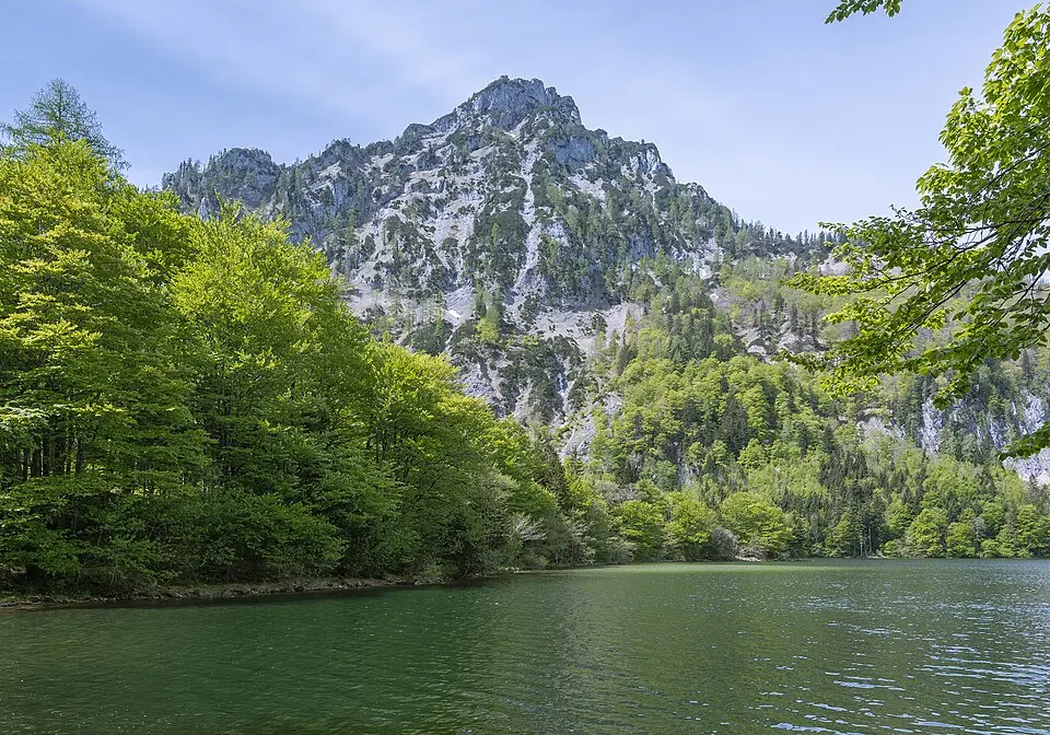 Slika: Isiwal · CC BY-SA 3.0 AT Traunstein