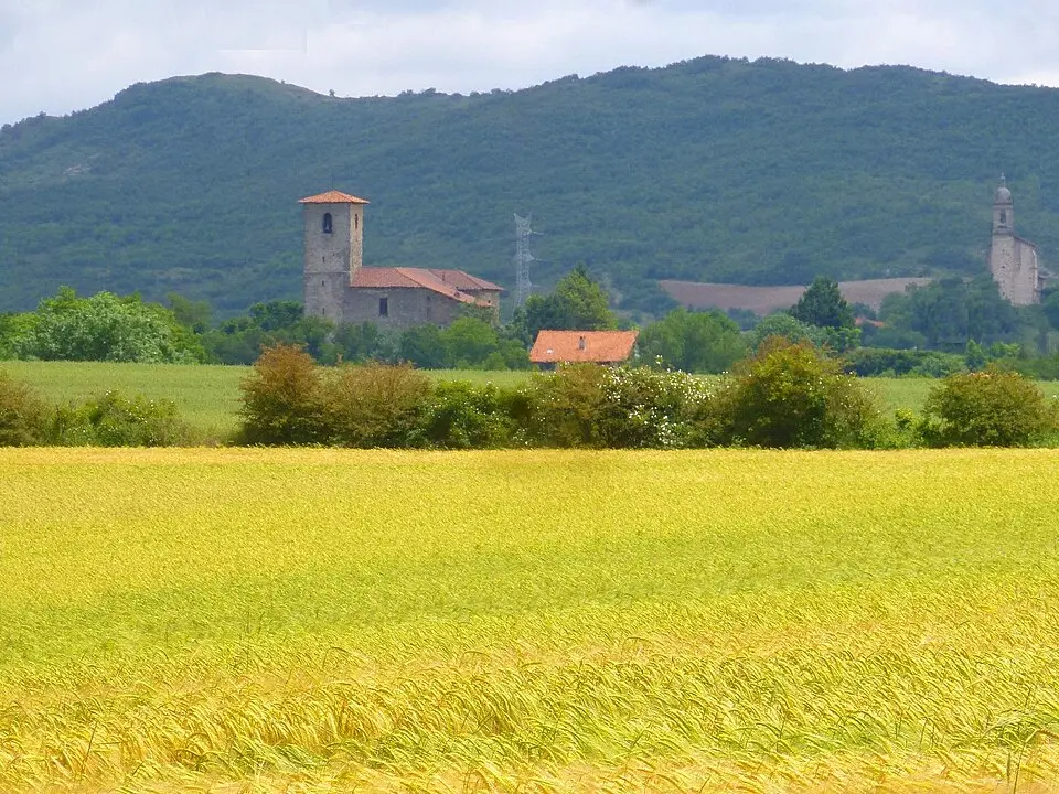 Amárita