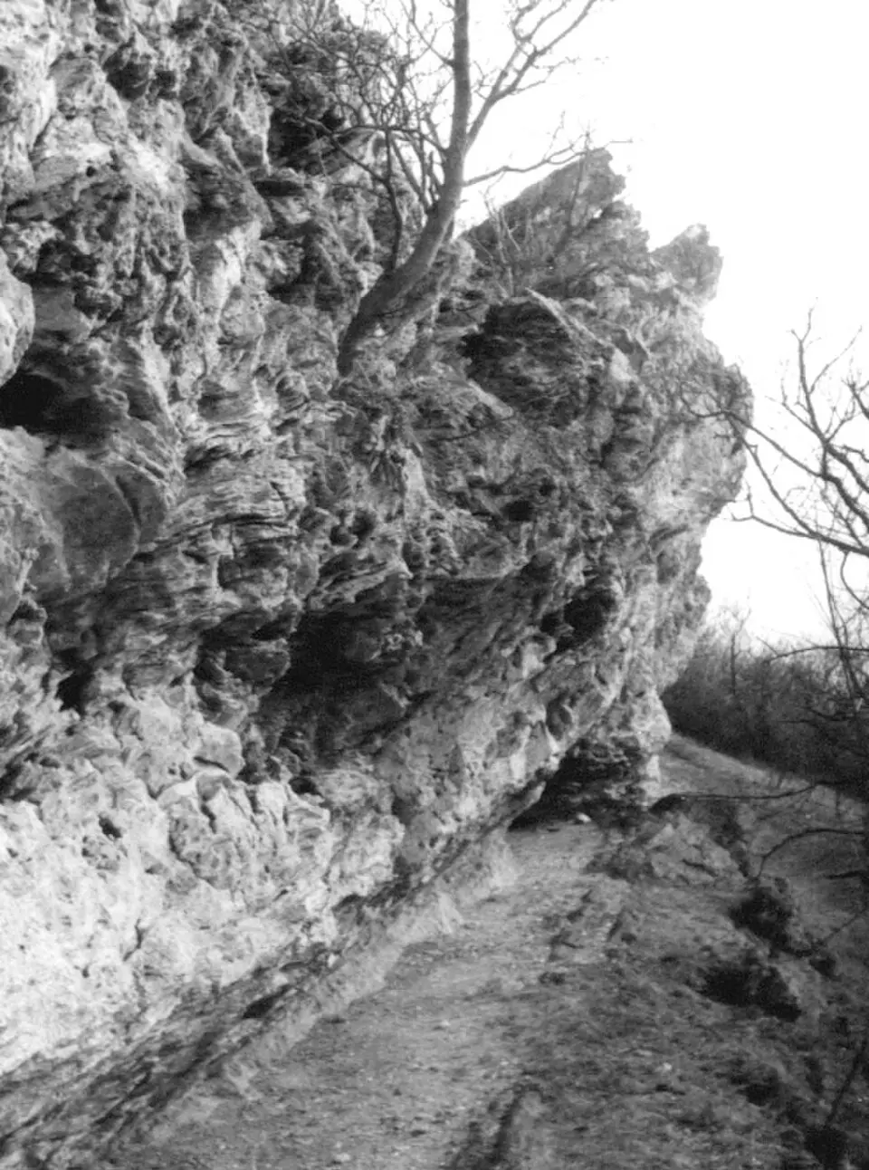 Nyereg-hegyi-eresz