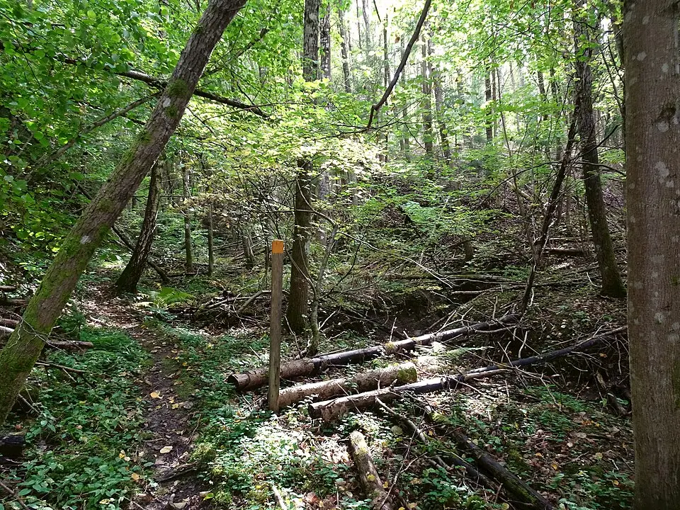 Nytorpsravinen