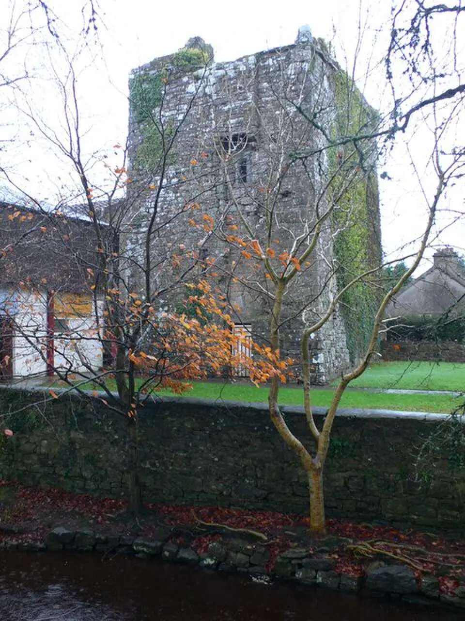 O'Grady's Castle