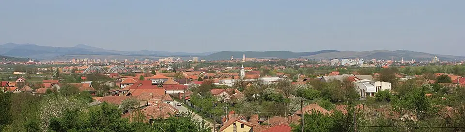 Oarda