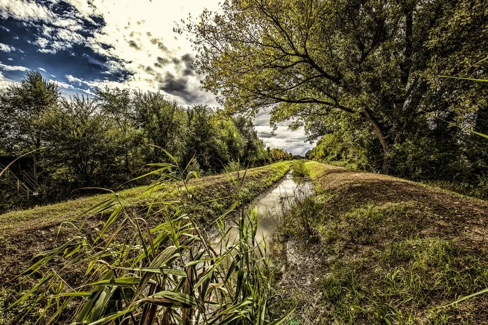 oasi di riequilibrio ecologico del "Torrazzolo"