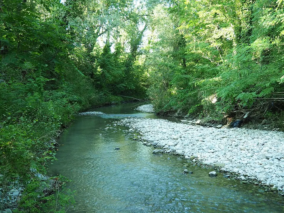 oasi fluviale del Molino Grande