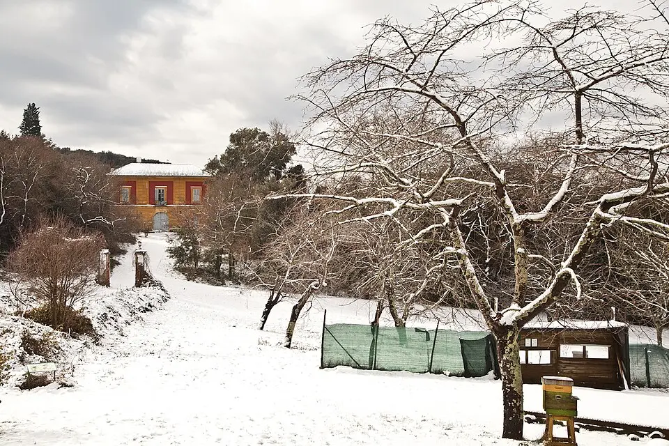 Oasi Bosco di San Silvestro